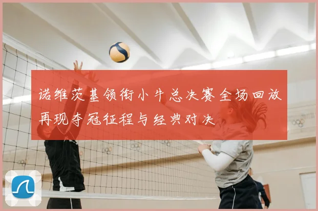 诺维茨基领衔小牛总决赛全场回放再现夺冠征程与经典对决
