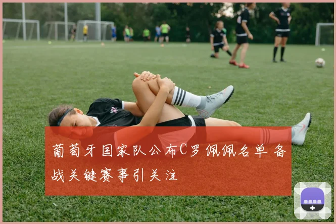 葡萄牙国家队公布C罗佩佩名单 备战关键赛事引关注