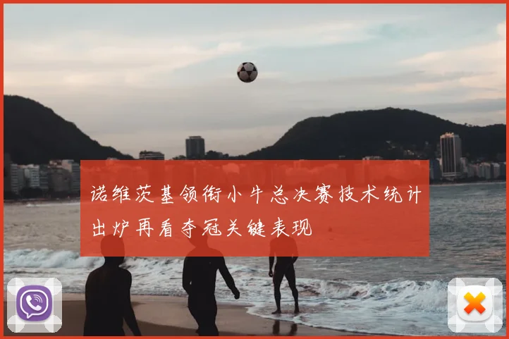 诺维茨基领衔小牛总决赛技术统计出炉再看夺冠关键表现