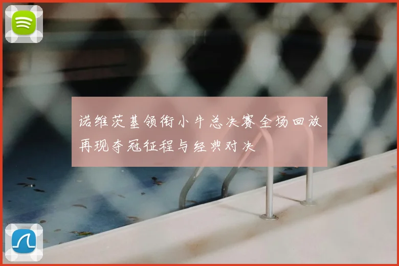诺维茨基领衔小牛总决赛全场回放再现夺冠征程与经典对决