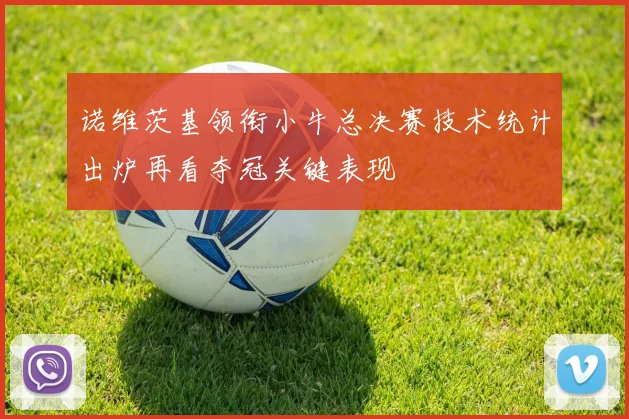 诺维茨基领衔小牛总决赛技术统计出炉再看夺冠关键表现