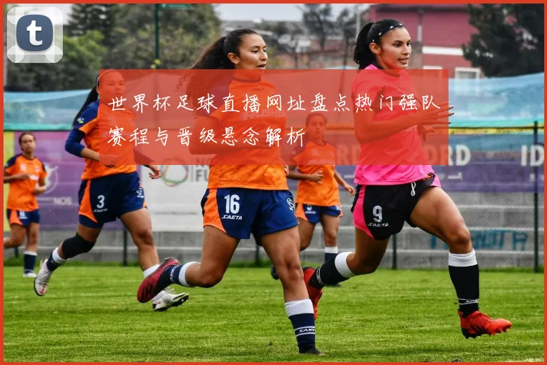 世界杯足球直播网址盘点热门强队赛程与晋级悬念解析