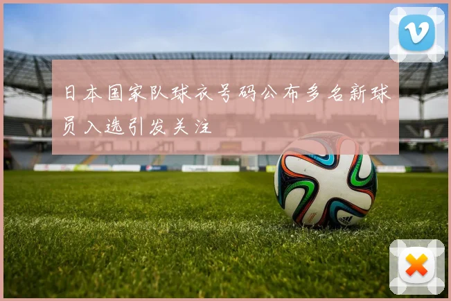 日本国家队球衣号码公布多名新球员入选引发关注