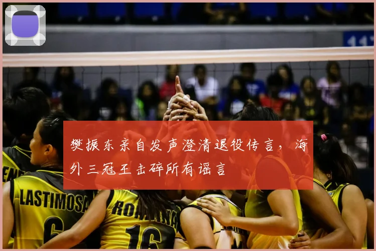 樊振东亲自发声澄清退役传言，海外三冠王击碎所有谣言