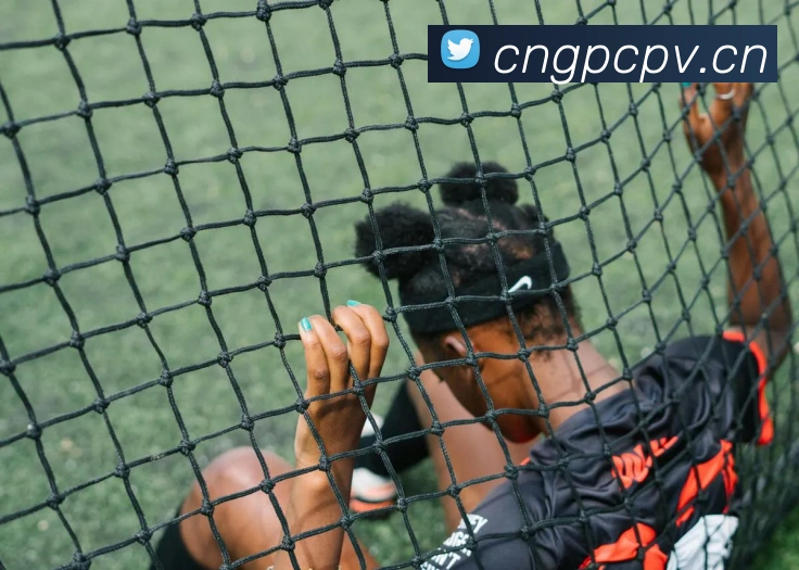 开云手机官方登录品牌故事