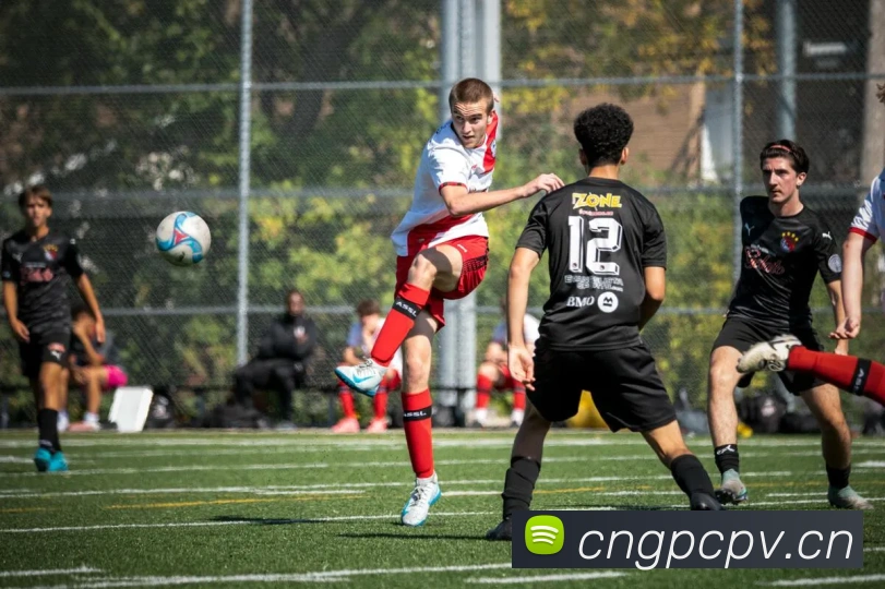 开云手机官方登录服务体系